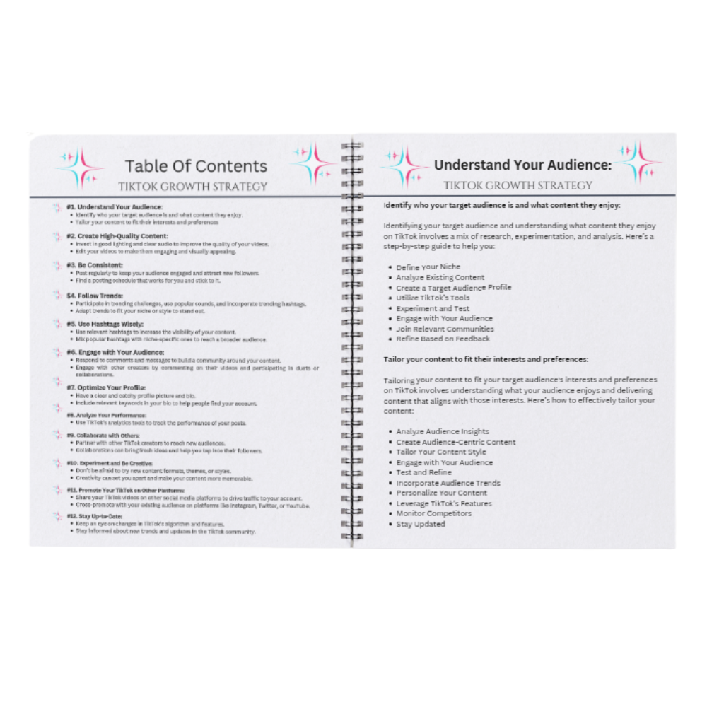 TikTok Growth Strategy Guide - For Small Business Owners